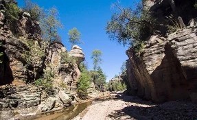 Qué hacer en Parque Nacional Cumbres de Majalca, Chihuahua