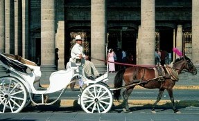 Things to do in Paseo en Calandria, Guadalajara