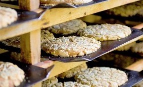 Qué hacer en Pan de Bustamante
