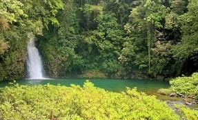 What to do in Poza Reyna, Catemaco
