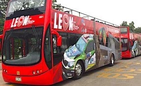 What to do in León Tour