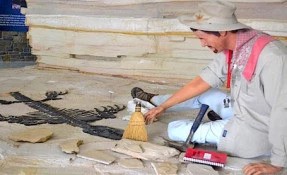 Qué hacer en Museo de Paleontología, Múzquiz