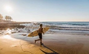 What to do in Surf, Troncones