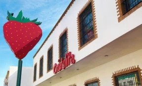 Qué hacer en Cristalita, Irapuato