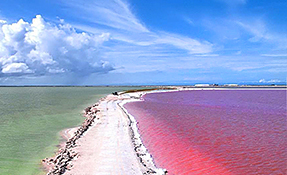 What to do in Las Coloradas, Tizimín