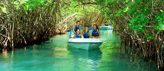 Jungle Tours, Cancún