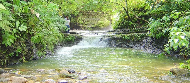 The Agua Selva Ecological Reserve