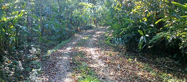Eco Parque Agua Selva, Huimanguillo