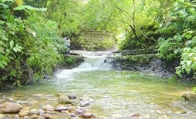 The Agua Selva Ecological Reserve