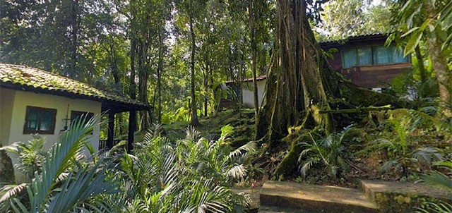 Cascada de Misol Ha, Palenque