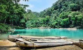 Qué hacer en Agua Clara, Palenque