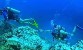 Qué hacer en Tours de Exploración, Naturaleza y Cultura, Riviera Nayarit