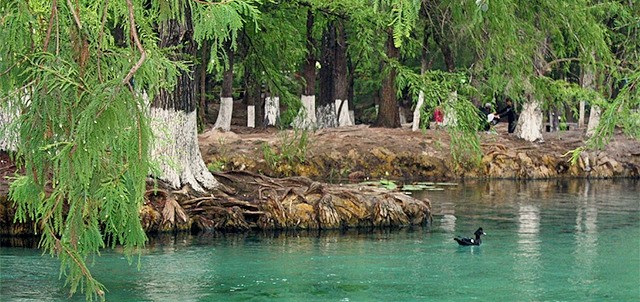 Media Luna Lagoon, one of the best things to do in Río Verde, San Luis  Potosí | Experts in Mexico