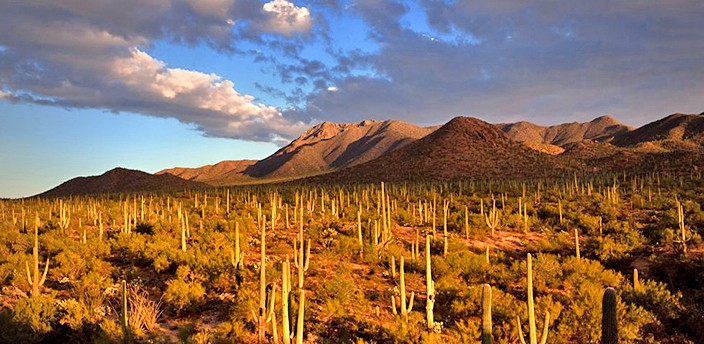 Reserva de la Biósfera El Pinacate y Gran Desierto de Altar, San Luis Río Colorado