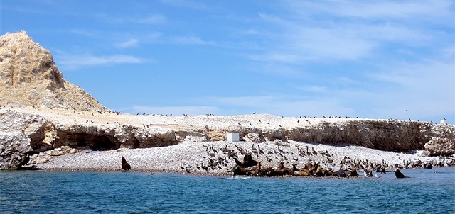 Islas de San Jorge, Puerto Peñasco ( Rocky Point )
