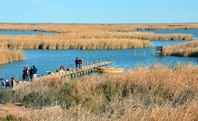 Qué hacer en La Ciénega de Santa Clara, San Luis Río Colorado