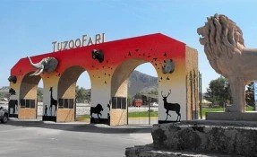 What to do in Tuzoofari, Pachuca