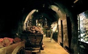 Qué hacer en Museo Túnel de Minería, Durango