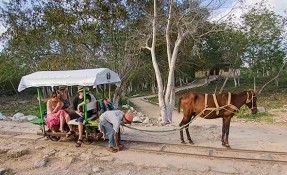 What to do in Truck ( Cenotes de Cuzamá ), Mérida