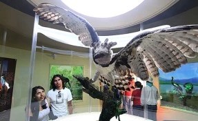 What to do in Museo de las Aves de México, Saltillo