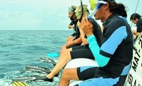 Qué hacer en Nado con Tiburón Ballena, Holbox