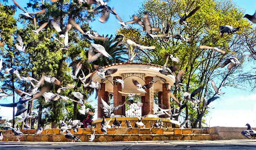 Miguel Hidalgo Park (Main Square)