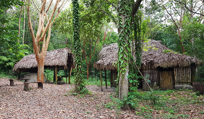 Eco Park Xanath