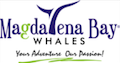 Magdalena Bay Whales