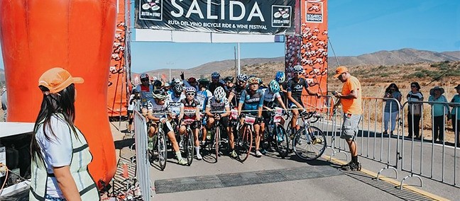Ruta del Vino Bike Ride, Valle de Guadalupe