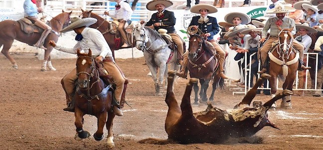 Congreso y Campeonato Nacional Charro, San Luis Potosí