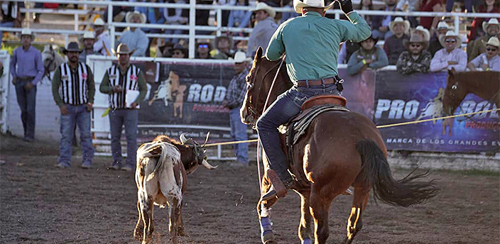 Expogan, Chihuahua