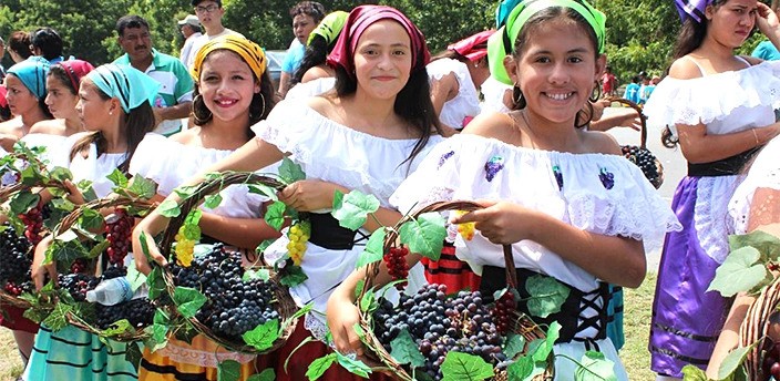 Feria de la Uva y el Vino FIUV, Parras de la Fuente