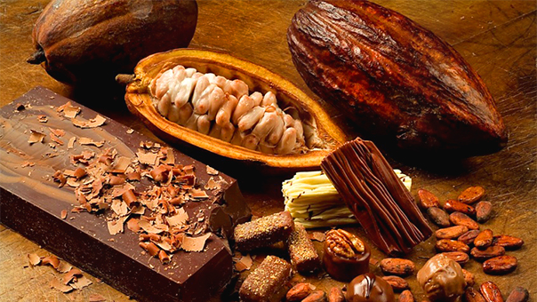 Ruta del Cacao