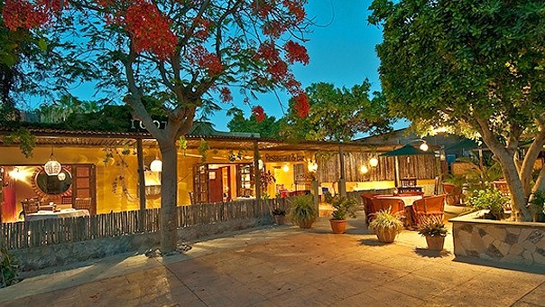 Restaurante El Zopilote