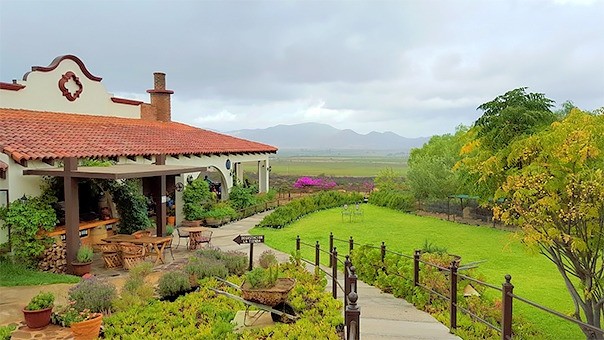 Restaurante Hacienda Guadalupe