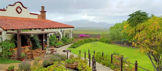 Hacienda Guadalupe, Valle de Guadalupe