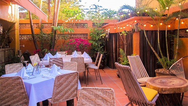 Bistro Orgánico Restaurant