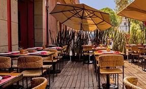 Corazón de Maguey Restaurant