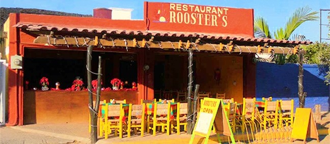 Roosters
