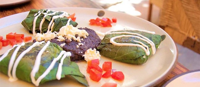 La Biznaga, Oaxaca