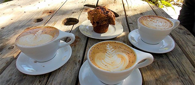 Baja Beans Cafe, El Pescadero