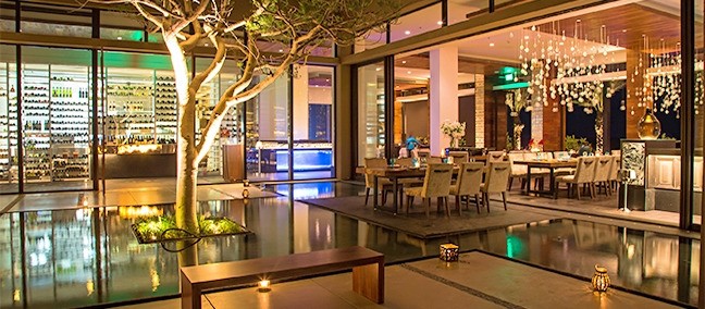 Café des Artistes Los Cabos, Los Cabos