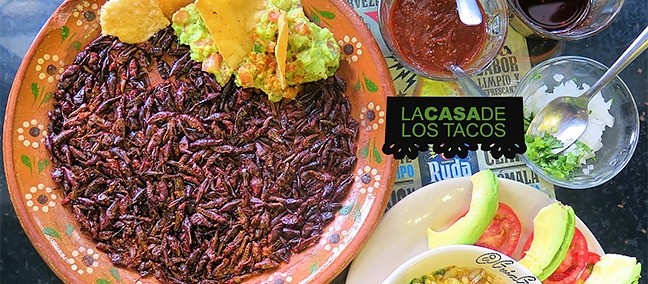 La Casa de los Tacos, Ciudad de México