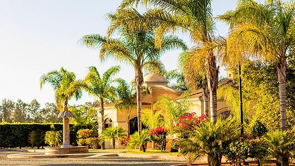 Jardínes Baja Restaurant