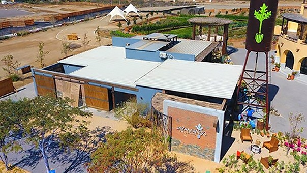Restaurante Jazamango