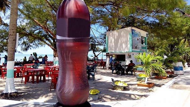 Restaurante Chucho Filarpón