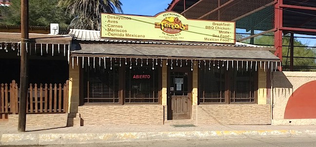 Tercos Pollitos, Santa Rosalía
