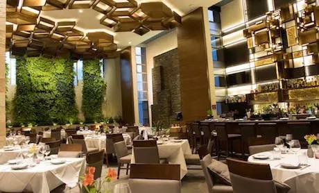 Cocina M Restaurant