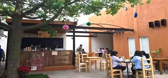 Mercado Orgánico El Pochote, Oaxaca