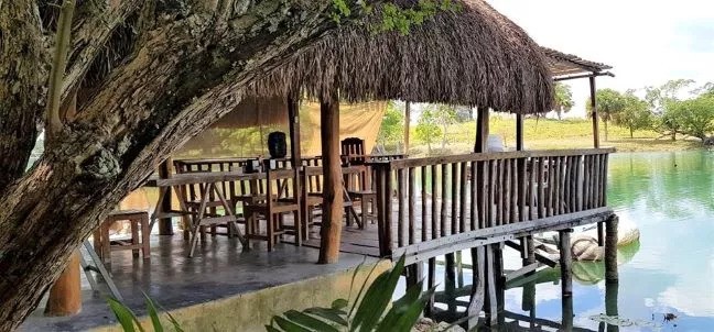 La Palapa De Gonzalo, Candelaria